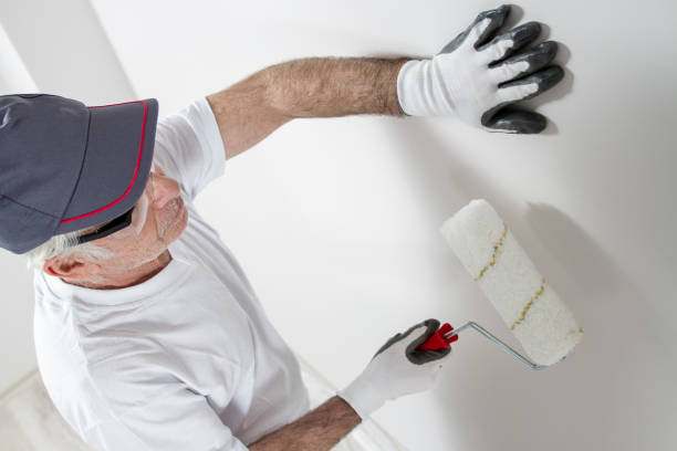 Best Mold Remediation for Healthcare Facilities  in Saranac, MI