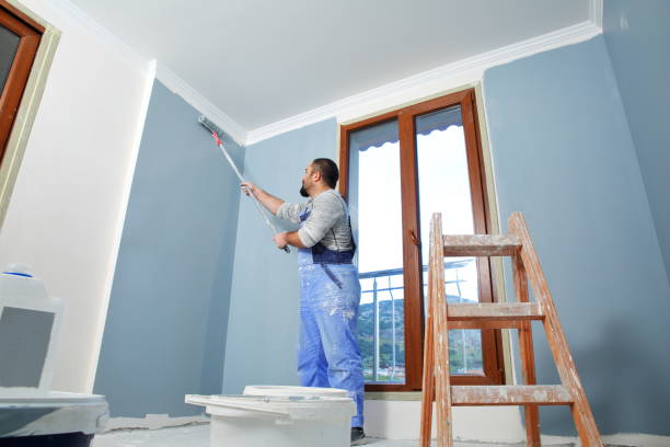 Best Mold Prevention Services  in Saranac, MI