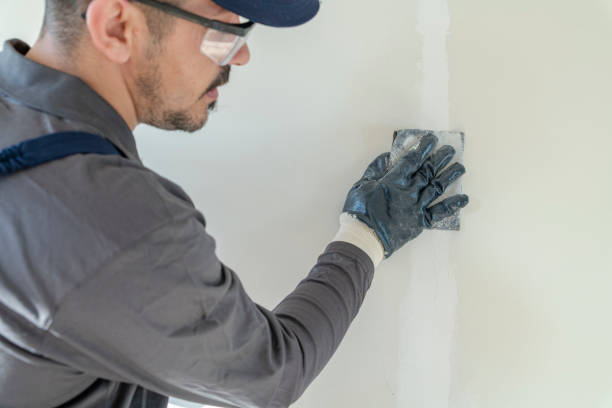 Best Forensic Mold Investigation  in Saranac, MI