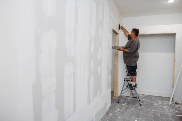 Best Basement Mold Removal  in Saranac, MI