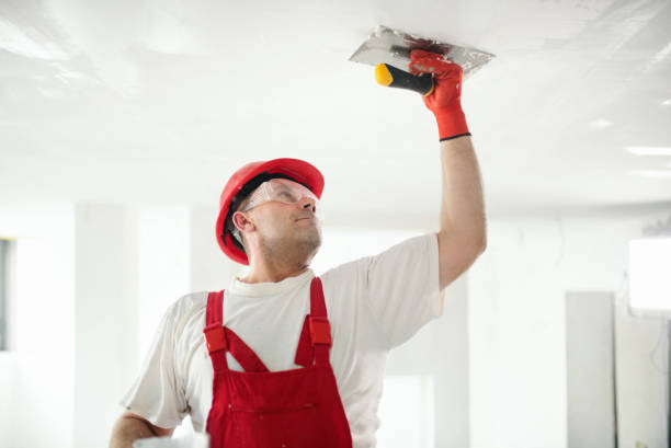 Best Water Damage & Mold Remediation  in Saranac, MI