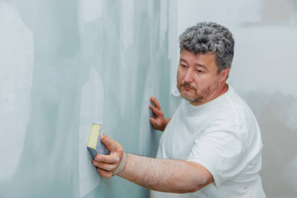 Best Mold Remediation for Healthcare Facilities  in Saranac, MI