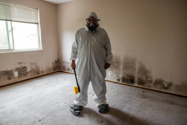 Saranac, MI Mold Removal Company