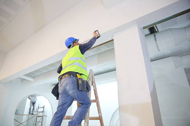 Best Black Mold Removal  in Saranac, MI